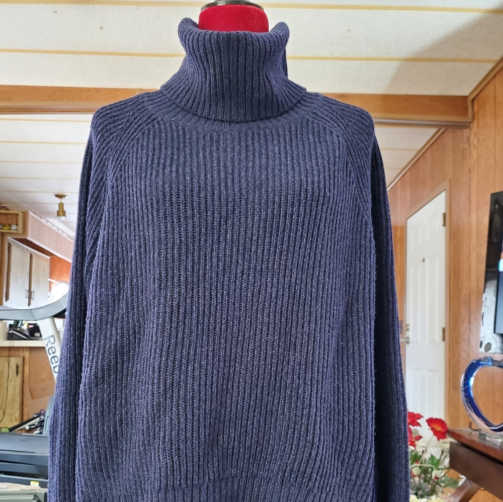 Artizia Wilfred Free Lin Italian Wool Turleneck
